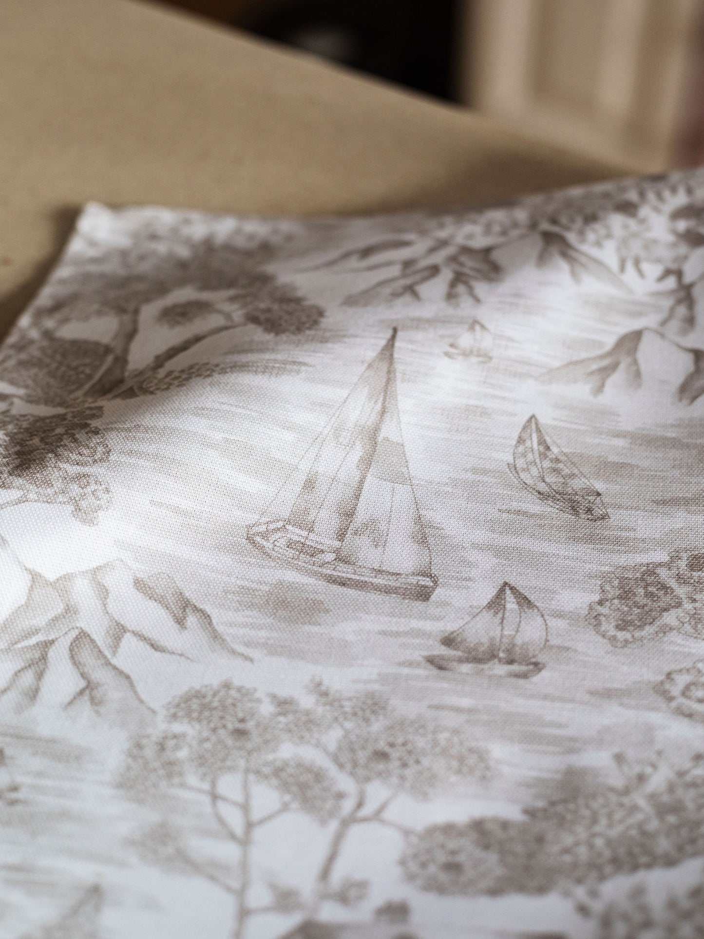 Soft Toile Napkins (Pair)